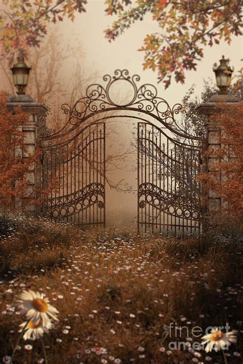 Creepy Old Gates Set In Overgrown Estate Photograph By Ethiriel
