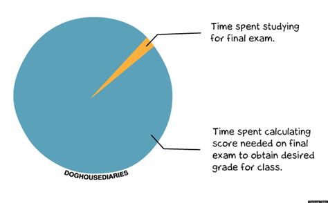 Doghouse Diaries Pie Chart Reveals Final Exam Study Secrets Picture