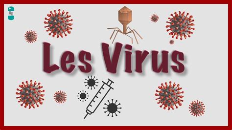 Qu'est ce qu'un Virus ? Bases virologiques  YouTube