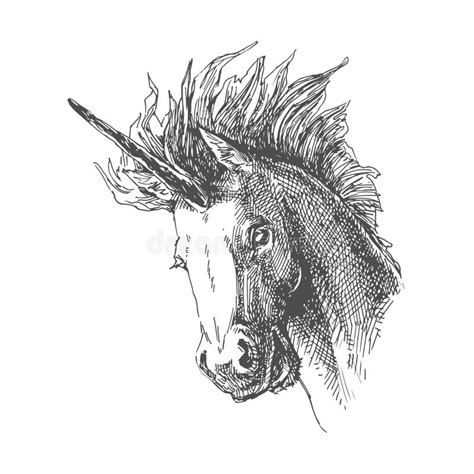 Vector Vintage Illustration Of Unicorn In Engraving Style Hand Stock