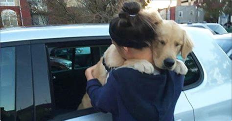 13 Heartwarming Photos Of Dogs Hugging Their Humans