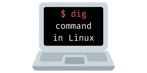 El Comando Dig Con Ejemplos En Linux Nksistemas