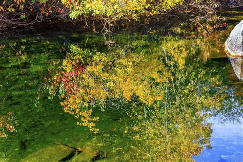 Fall Colors Leaves Water Reflection Abstract Wenatchee River Washington