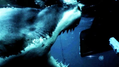 Megalodon The Monster Shark Lives Tonight 98c Youtube