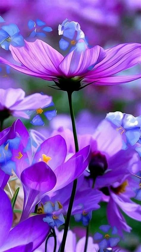 9183 Best I Love Purple Stuff Images On Pinterest Purple Stuff