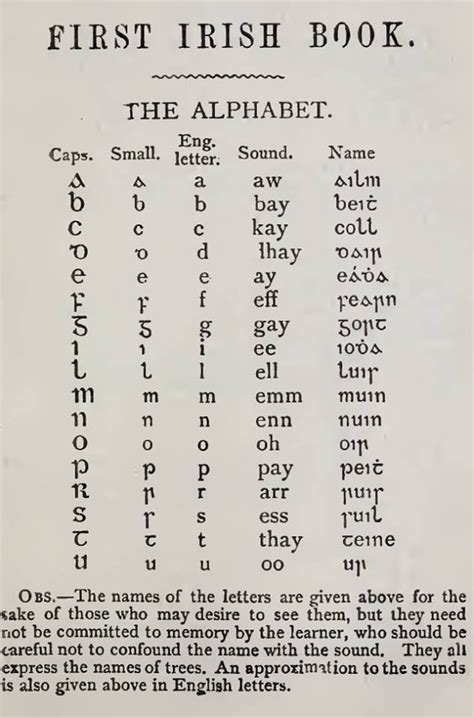Learning Irish Irish Gaelic Language Irish Words Gaelic Words