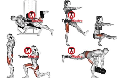 Treino De Pernas Completo Para Hipertrofia Treino Mestre