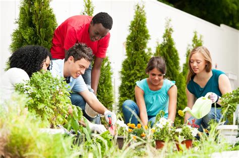 Gardening As Therapy