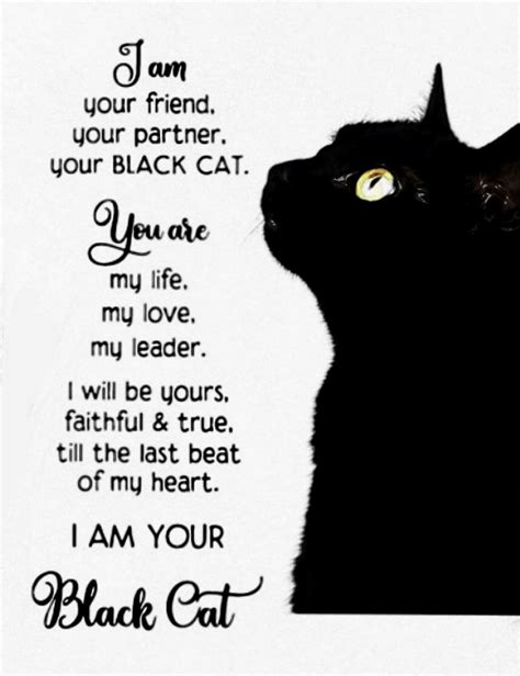 Pin By Angela Cupp On Me In 2021 Cat Poems Pet Grief Crazy Cats