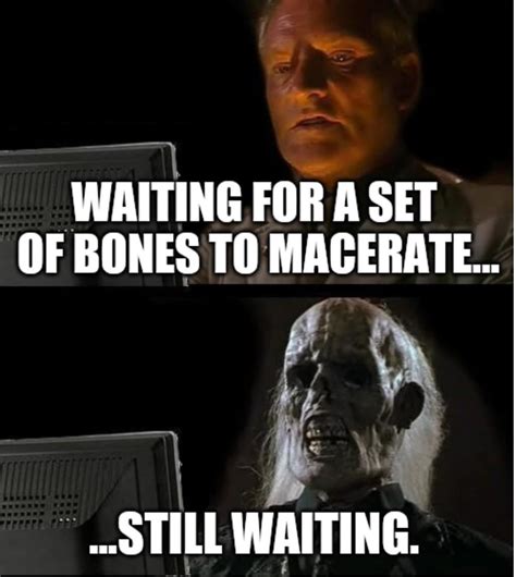 Waiting For A Set Of Bones To Meme Memes Funny Photos Videos