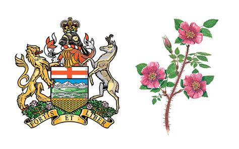 Wildflowers In Canadian Provincial And Territorial Symbols