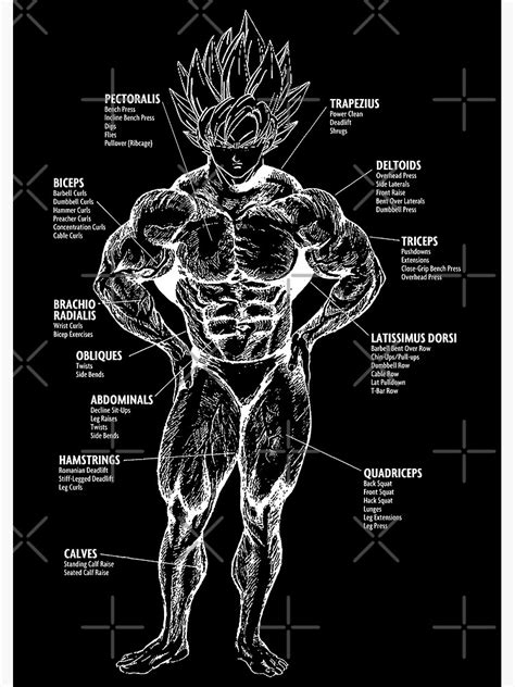 Goku Muscle Chart Anatomy Diagram Anime Workout Premium Matte