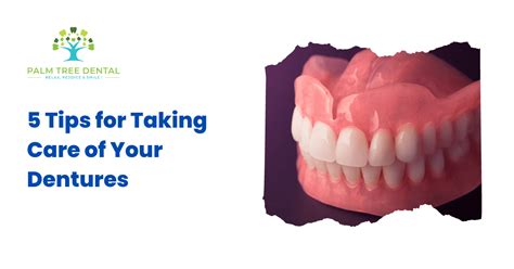 5 Tips For Taking Care Of Your Dentures Palm Tree Dental
