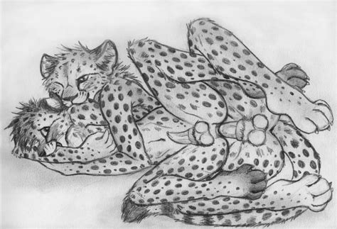 Rule 34 2015 Anal Anal Sex Animal Genitalia Anus Balls Bite Cheetah