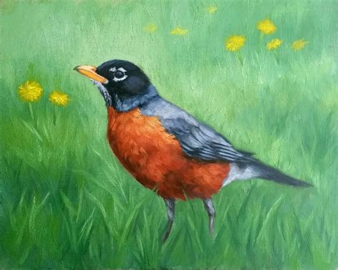 American Robin Robin Bird Painting Morning Robin Bird
