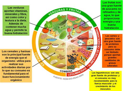Beneficios Del Plato Del Bien Comer Salud