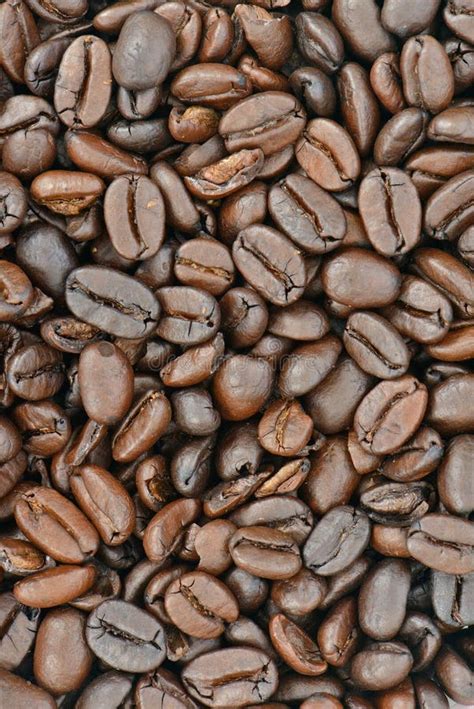 Roasted Coffee Beans Stock Image Image Of Caffeine Bean 33146257