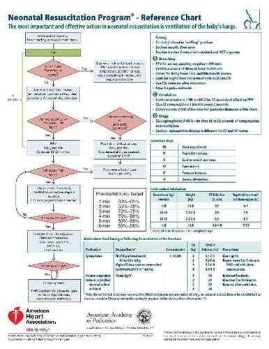 New Neonatal Resuscitation Program Reference Chart Nrp 9781610020299