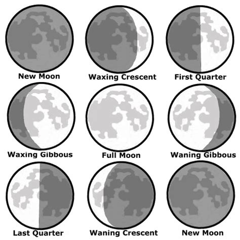 Activity The Motions And Phases Of The Moon