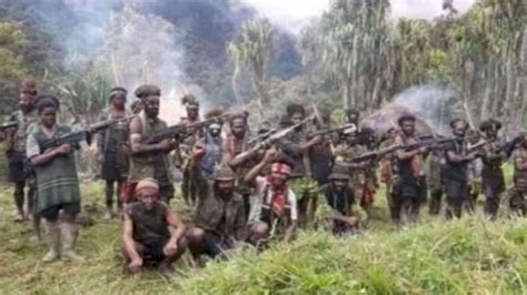 Kkb Kembali Serang Kawasan Tambang Di Intan Jaya Papua 15 Rumah Dan