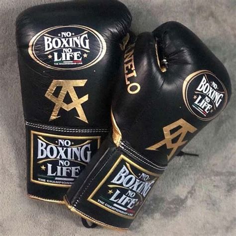 boxing lifestyle brands vbechtelar