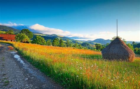 Beautiful Countryside Landscape With Forested Hills And Haystacks On A