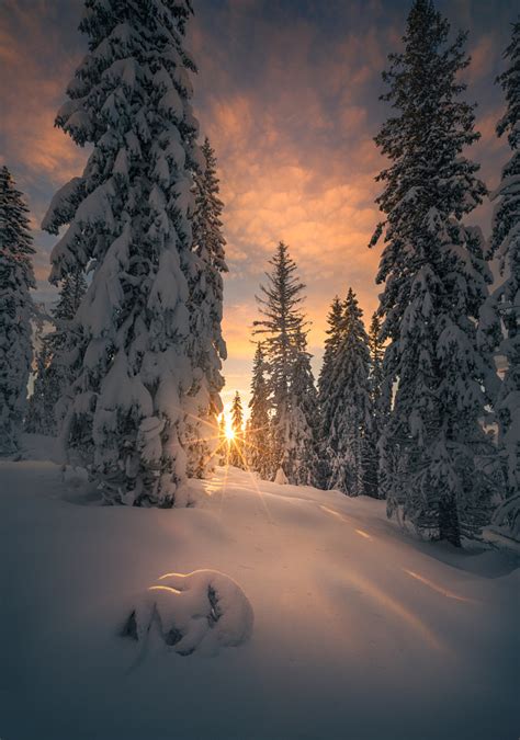 Snow Garden By Ole Henrik Skjelstad 500px
