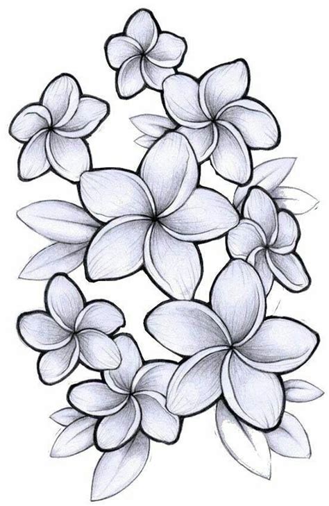 #Hawaiiantattoos | Flower drawing, Hawaiian flower drawing, Plumeria tattoo