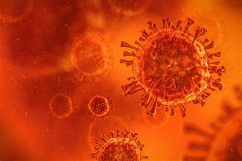La última y más reciente incorporada por la organización mundial de la salud (oms) es la denominada lambda, que se encontró por primera vez en agosto del 2020 en perú, cuando se le denominó c.37 o variante andina. Variante Lambda: Así es Lambda, la variante del COVID-19 ...