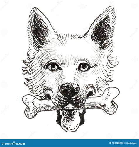 How To Draw A Dogs Nose And Mouth