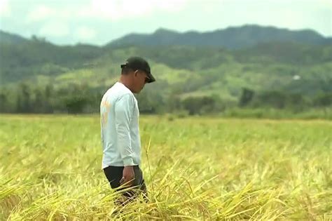 Nueva Ecija Farmers Reel From Impact Of Typhoon Karding Abs Cbn News