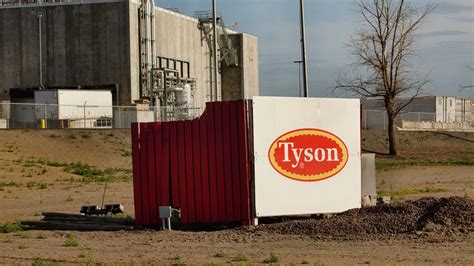 Lawsuit Tyson Foods Managers Bet On Workers Catching Covid