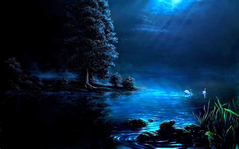 Night At Fantasy Pond