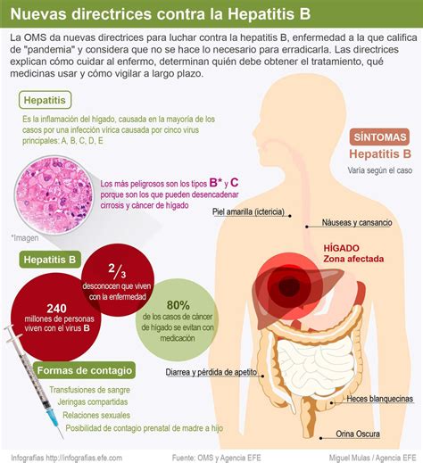 Medicina Y Salud Infografia Mynorte Com