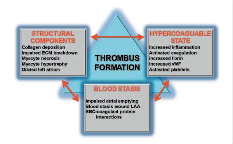 Rudolf Virchow Postulated That The Pathophysiology Of Thrombus
