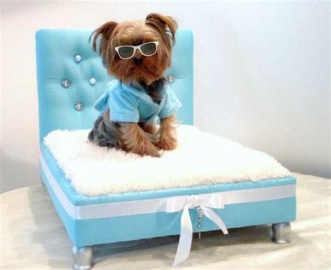 Hundebett Designs Was Finden Hunde Gemütlich Cool Dog Beds
