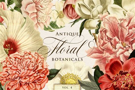 Antique Floral Botanical Graphics Vol 4 Avalon Rose Design