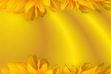 Free 6571 Free Yellow Background Images Yellowimages Mockups