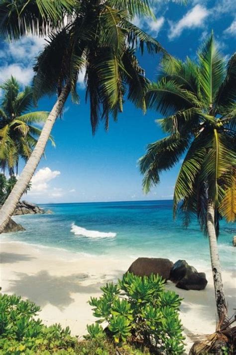 Top 10 Most Beautiful Beaches In The World Kaunaoa Bay Seychelles