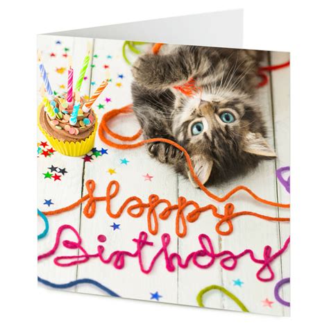 😄 personalize any ecard 😄 send it instantly! HAPPY BIRTHDAY cute cat kitten playing with wool Birthday ...