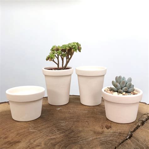 White Terracotta Clay Unglazed Pots Desk Indoor Plant Mini Pot Nat