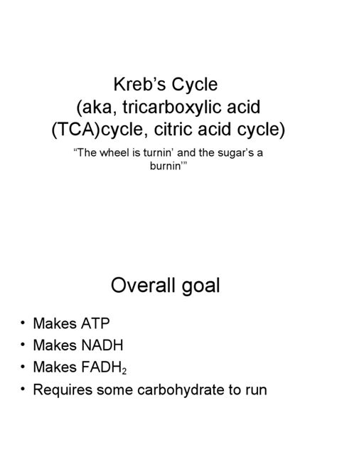 Krebs Cycle Aka Tricarboxylic Acid Tca Cycle Citric Acid Cycle