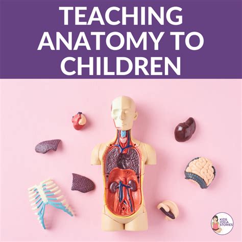 How To Teach Anatomy In A Fun Way Archives Kids Yoga Stories Yoga
