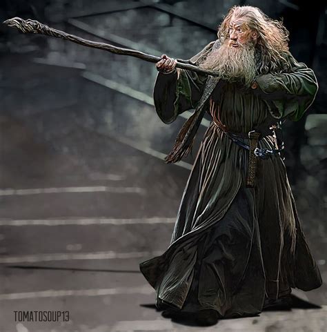 Gandalf The Grey Ian Mckellen By Tomatosoup13 On Deviantart Gandalf