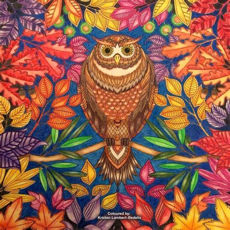 Páginas inspiradoras dos livros jardim secreto, floresta encantada e outros livros de. 'Owl in Autumn' from Secret Garden by #johannabasford # ...