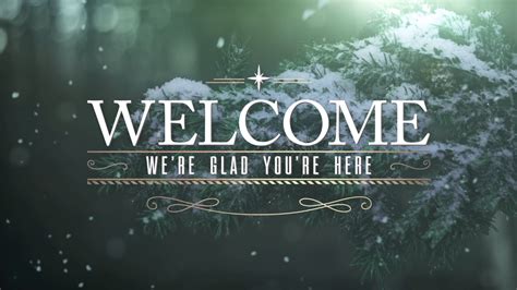 Winter Woods Welcome Motion Video Background