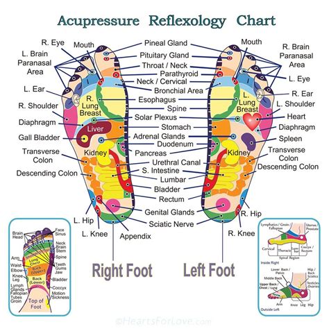 Reflexology And Acupressure Map Of Feet Professional Quality Etsy