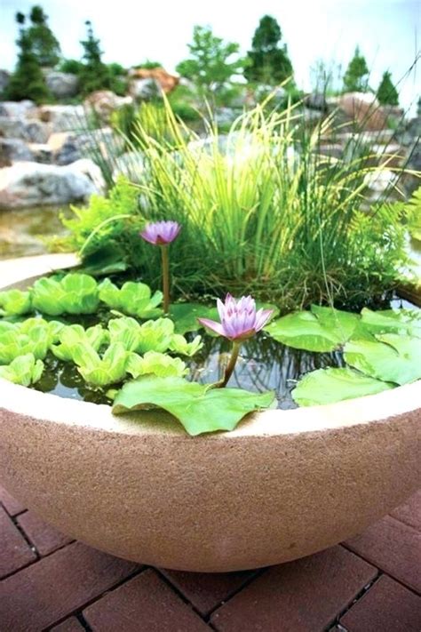 Pond Containers In A Pot Photography Blog Container Granite Effect
