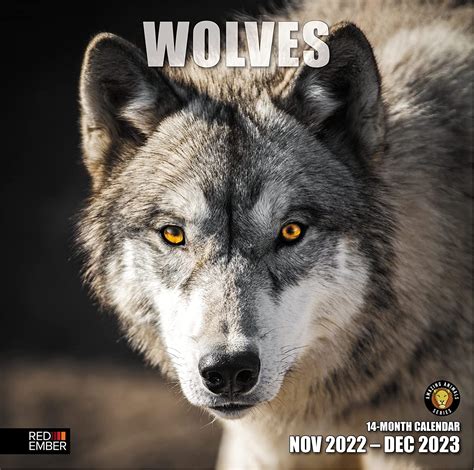 Red Ember Wolves 2023 Hangable Monthly Wall Calendar 12