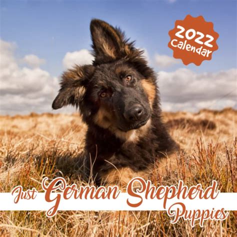 Buy Just German Shepherd 2022 For The Love Of German Shepherds Monthly